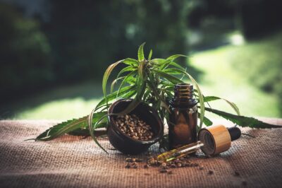 tendances du marché du CBD